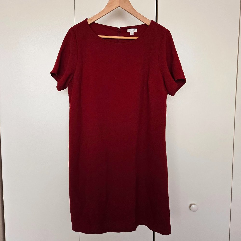 Women's Short Sleeve Shift Dress